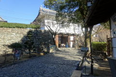 DSC00172