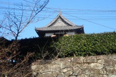 DSC00173