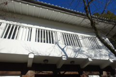 DSC00175
