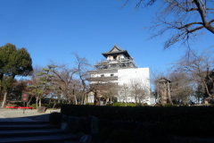 DSC00176