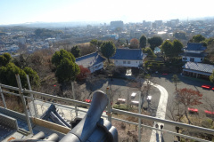 DSC00209
