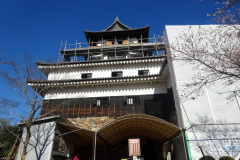DSC00233