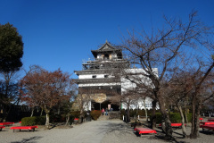 DSC00237