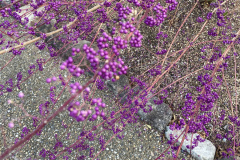 18EAC213-CAFF-4ABA-A59B-BD79E892B2C8