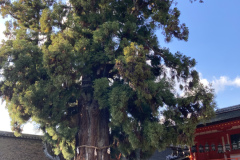 20B49467-EDCD-4DC0-8538-127DD43C818E