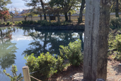 27241DA7-DBB4-477E-8385-01D7577FD731