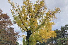 7C42A41E-2A28-421D-8A51-EFF78F081DCC