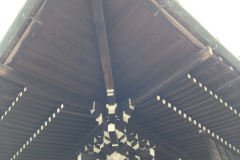 9F04ABE1-7C40-4B68-AC71-87238C7F685F