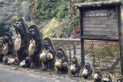 A044CFA2-B648-4AC5-B48D-90AD5F376CC8