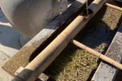 AF8F3E17-3BAC-4217-AD5C-5391A623AFB7