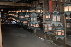 C235F40C-431B-4B0B-826B-00E96F39E099