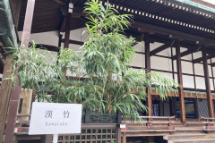 C25015C3-AE1F-4B3E-91D8-D1252FBB6D06