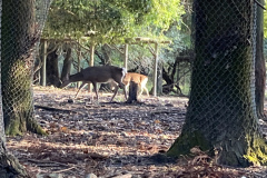 D4D40EF5-2423-43C6-A535-40ABF5B9C6DE