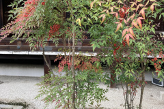 D4E90A92-4BFE-4437-9722-4179828A4F6A