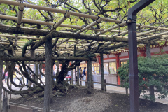 D66F3856-4335-4779-90CF-6A3400980935