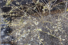 DBD1719B-CDF7-4A51-A63E-BEB067A70576