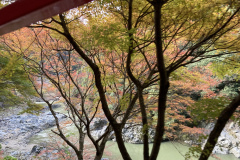 E1B09C4E-3512-432F-A96B-DC3ABA3E78D3