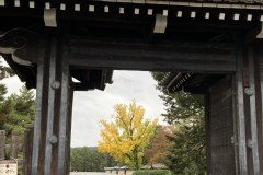 EEE7CCB8-8E6E-492A-9606-2CCA119F9E3C