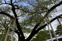 F7063F32-2F93-4580-A2A2-5EC657ADEA31