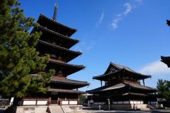 Platina57s同窓会ツアー0123