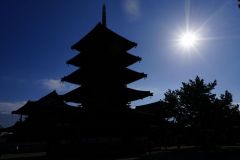 Platina57s同窓会ツアー0130