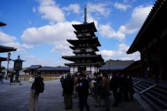 Platina57s同窓会ツアー0174