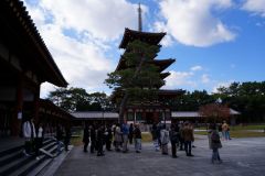 Platina57s同窓会ツアー0176