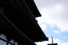 Platina57s同窓会ツアー0181