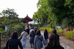 Platina57s同窓会ツアー0193