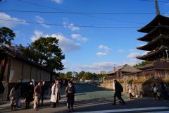 Platina57s同窓会ツアー0204